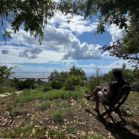 Bed and Breakfast Groove'N'Grove SantʼAgata sui Due Golfi Exterior foto