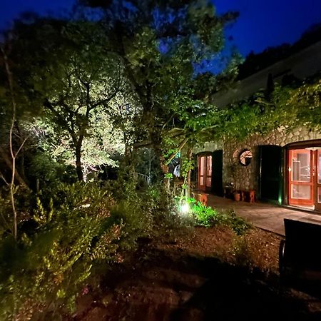 Bed and Breakfast Groove'N'Grove SantʼAgata sui Due Golfi Exterior foto