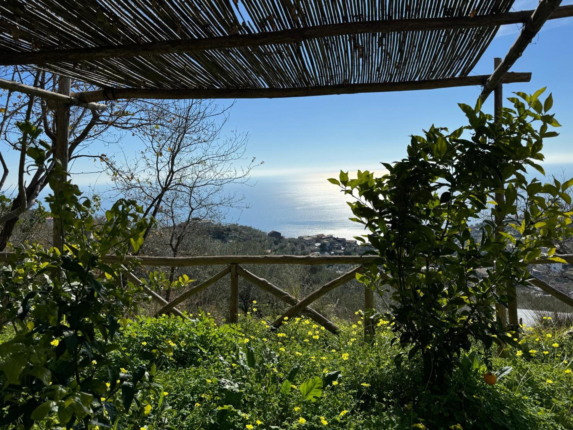 Bed and Breakfast Groove'N'Grove SantʼAgata sui Due Golfi Exterior foto