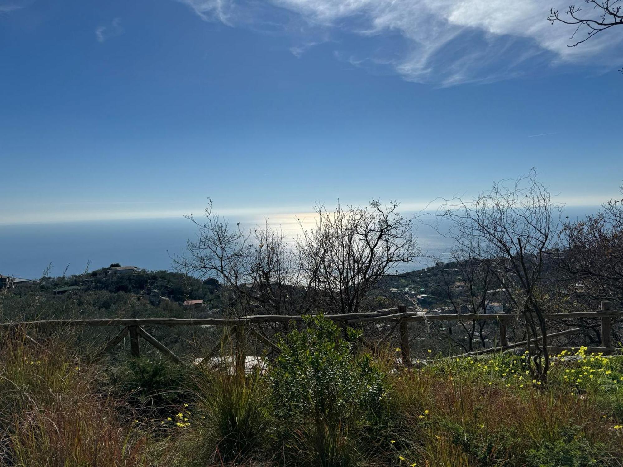 Bed and Breakfast Groove'N'Grove SantʼAgata sui Due Golfi Exterior foto